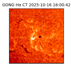 gong - 2025-10-16T16:00:42