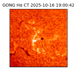 gong - 2025-10-16T19:00:42