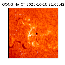 gong - 2025-10-16T21:00:42