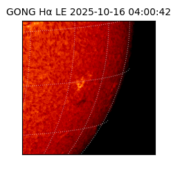 gong - 2025-10-16T04:00:42