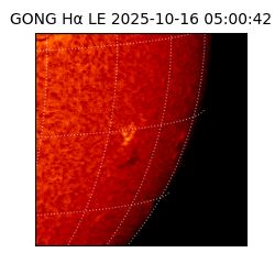 gong - 2025-10-16T05:00:42