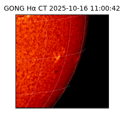 gong - 2025-10-16T11:00:42