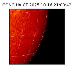 gong - 2025-10-16T21:00:42