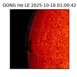 gong - 2025-10-16T01:00:42