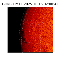 gong - 2025-10-16T02:00:42