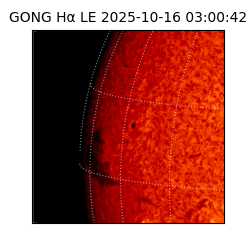gong - 2025-10-16T03:00:42