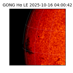 gong - 2025-10-16T04:00:42