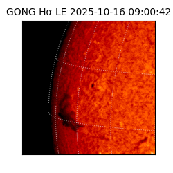 gong - 2025-10-16T09:00:42