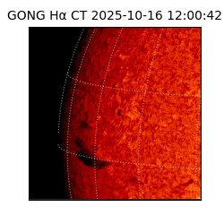 gong - 2025-10-16T12:00:42