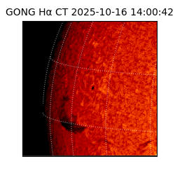 gong - 2025-10-16T14:00:42