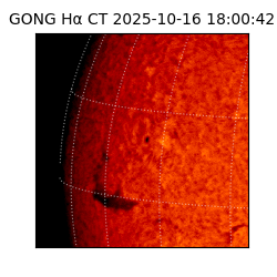gong - 2025-10-16T18:00:42
