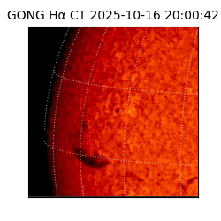 gong - 2025-10-16T20:00:42