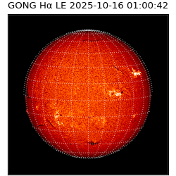 gong - 2025-10-16T01:00:42