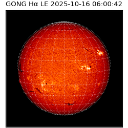 gong - 2025-10-16T06:00:42