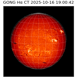 gong - 2025-10-16T19:00:42