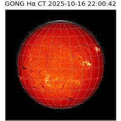 gong - 2025-10-16T22:00:42