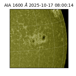 saia - 2025-10-17T08:00:14.126000