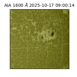 saia - 2025-10-17T09:00:14.129000