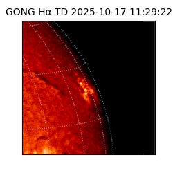 gong - 2025-10-17T11:29:22