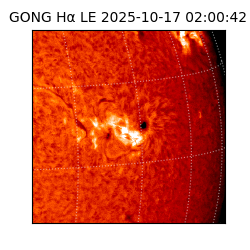 gong - 2025-10-17T02:00:42