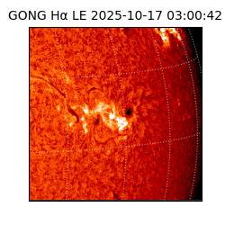 gong - 2025-10-17T03:00:42