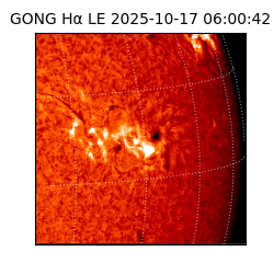 gong - 2025-10-17T06:00:42