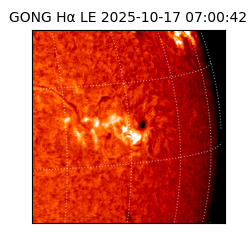gong - 2025-10-17T07:00:42