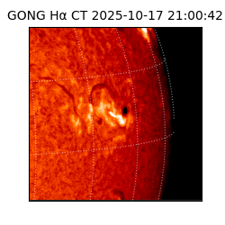 gong - 2025-10-17T21:00:42