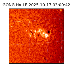 gong - 2025-10-17T03:00:42