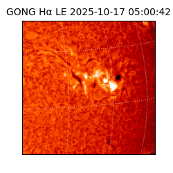 gong - 2025-10-17T05:00:42