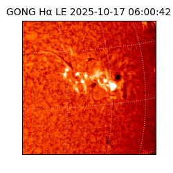 gong - 2025-10-17T06:00:42