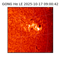 gong - 2025-10-17T09:00:42