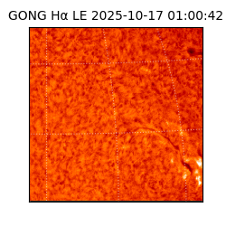 gong - 2025-10-17T01:00:42