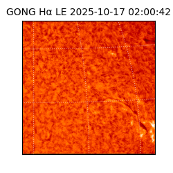 gong - 2025-10-17T02:00:42
