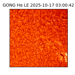 gong - 2025-10-17T03:00:42