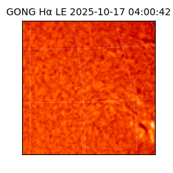 gong - 2025-10-17T04:00:42