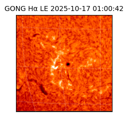 gong - 2025-10-17T01:00:42