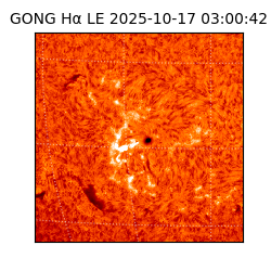 gong - 2025-10-17T03:00:42