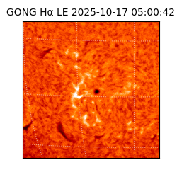 gong - 2025-10-17T05:00:42