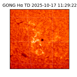 gong - 2025-10-17T11:29:22