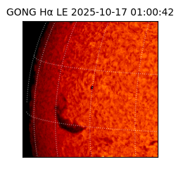 gong - 2025-10-17T01:00:42