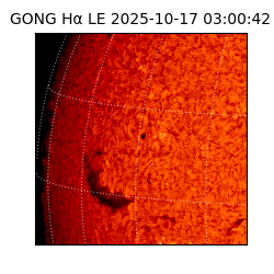 gong - 2025-10-17T03:00:42