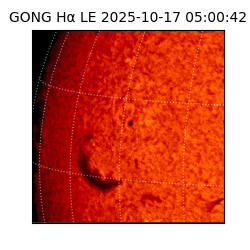 gong - 2025-10-17T05:00:42