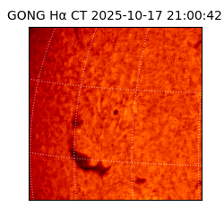 gong - 2025-10-17T21:00:42