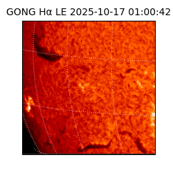 gong - 2025-10-17T01:00:42