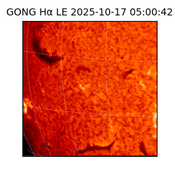 gong - 2025-10-17T05:00:42