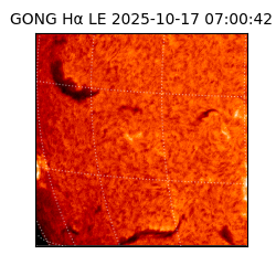 gong - 2025-10-17T07:00:42