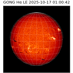 gong - 2025-10-17T01:00:42