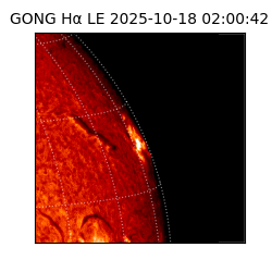 gong - 2025-10-18T02:00:42