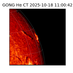 gong - 2025-10-18T11:00:42